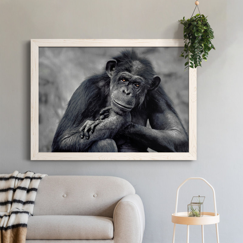 Captivé - Photographie sur toile avec cadre photo, Blanc, H 37,5 po x l 27,5 po x P 1,5 po