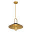 1 luminaire suspendu