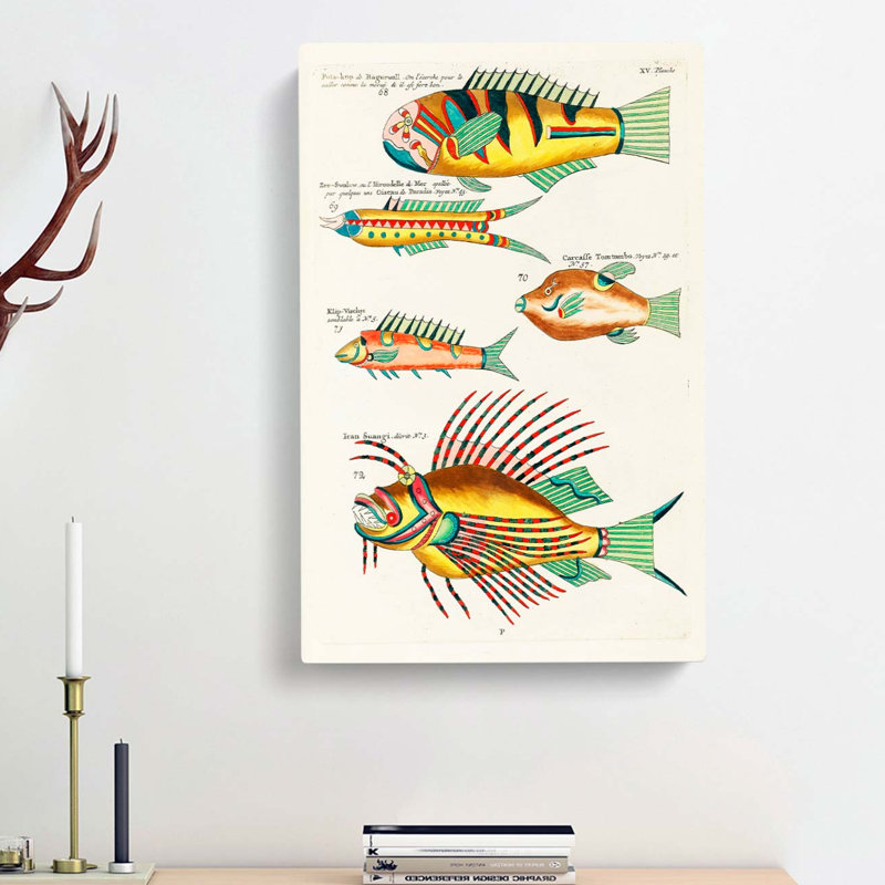 East Indies Fish Illustrations XV by Louis Renard - Wrapped Canvas, 50cm H x 35cm W x 3cm D