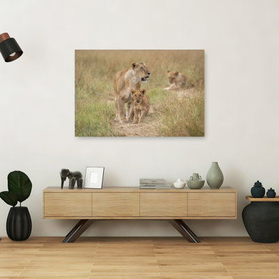 African Lion Family Contemporary Cat Lion Nature Wildlife Wall Art Print