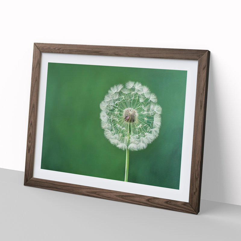 Excellent Dandelion Flower - Framed Print, 46cm H x 64cm W x 2cm D, Walnut