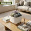 Pot Planter