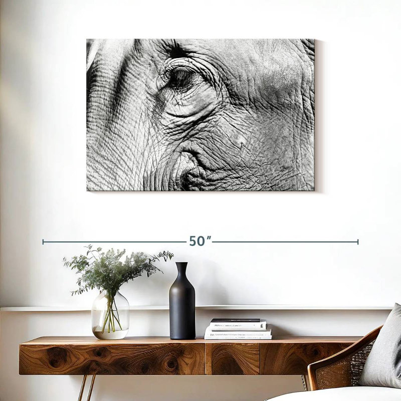 Gros plan sur l'éléphant Brampt, H 24 po x l 36 po