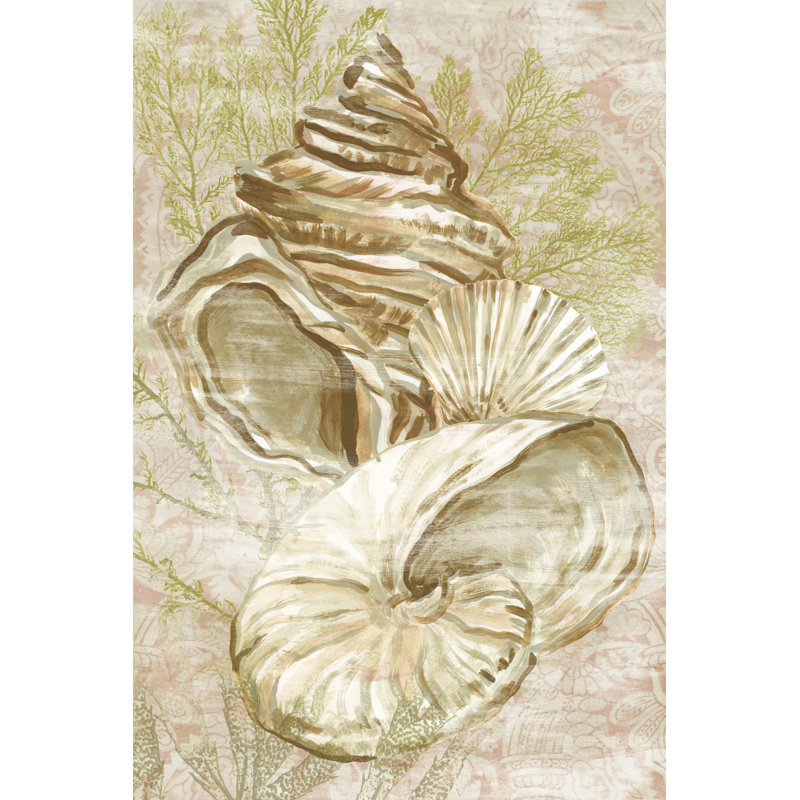 Antique Peach Shell Collage I by June Erica Vess - Wrapped Canvas Print, 46 cm H x 30 cm W