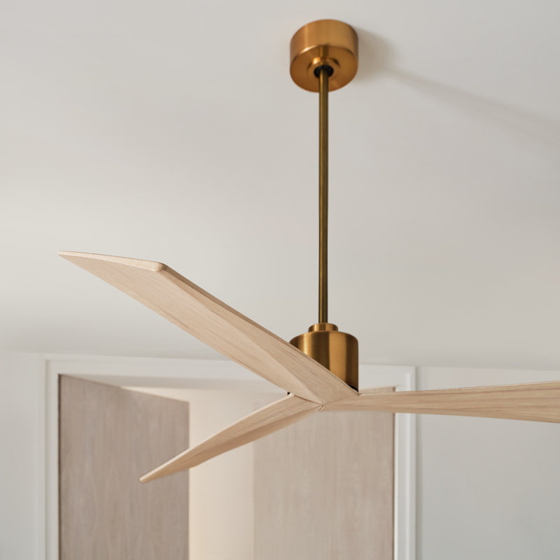 Visual Comfort Fan Adler 60 Indoor Ceiling Fan with Natural Honey ABS blades and Handheld Remote, Burnished Brass