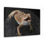 No Frame Print on Canvas-56779835