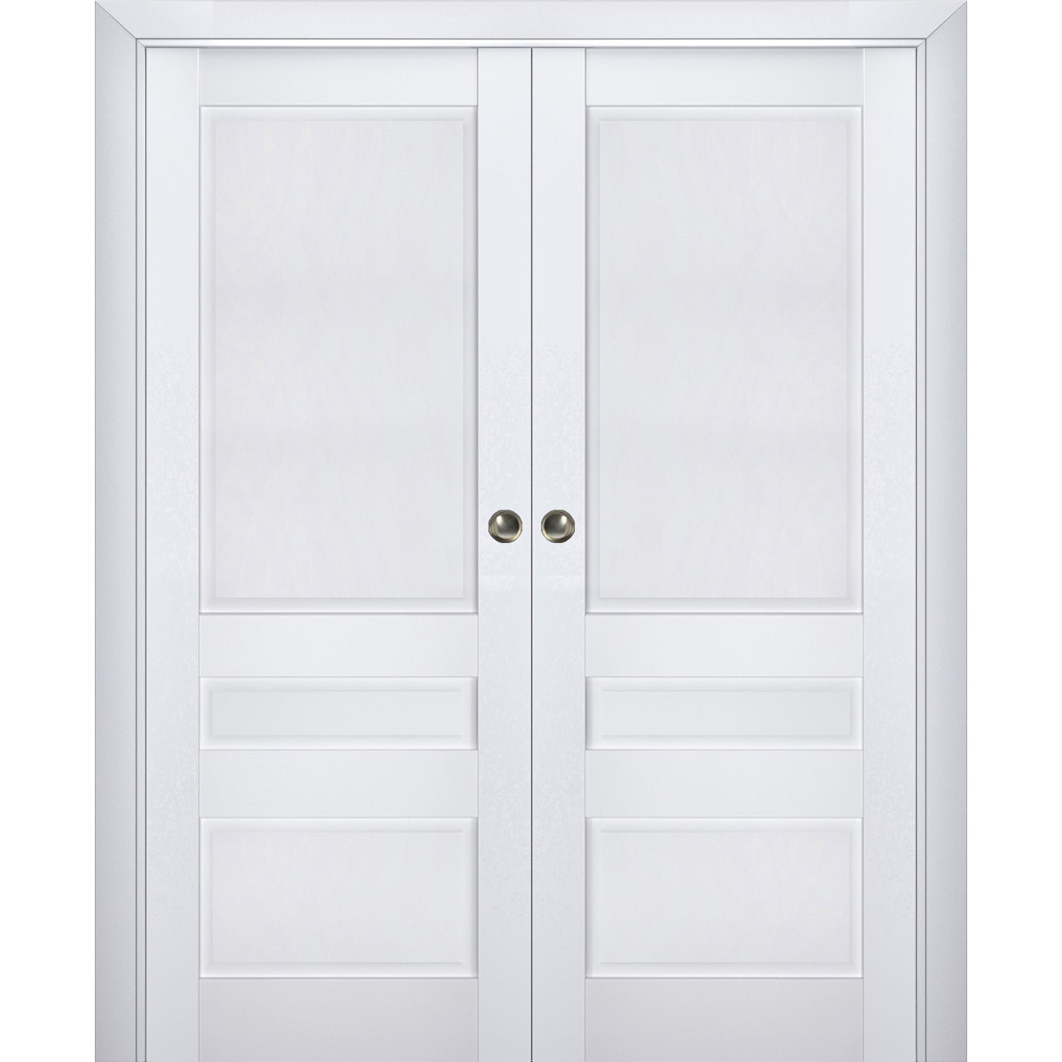 SARTODOORS Veregio Paneled Sliding Closet Doors Wayfair