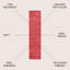 Tapis rouge Asalia-1208554733