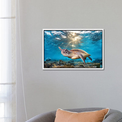 Swimming In The Golden Light by Jordan Robins - Print on Canvas