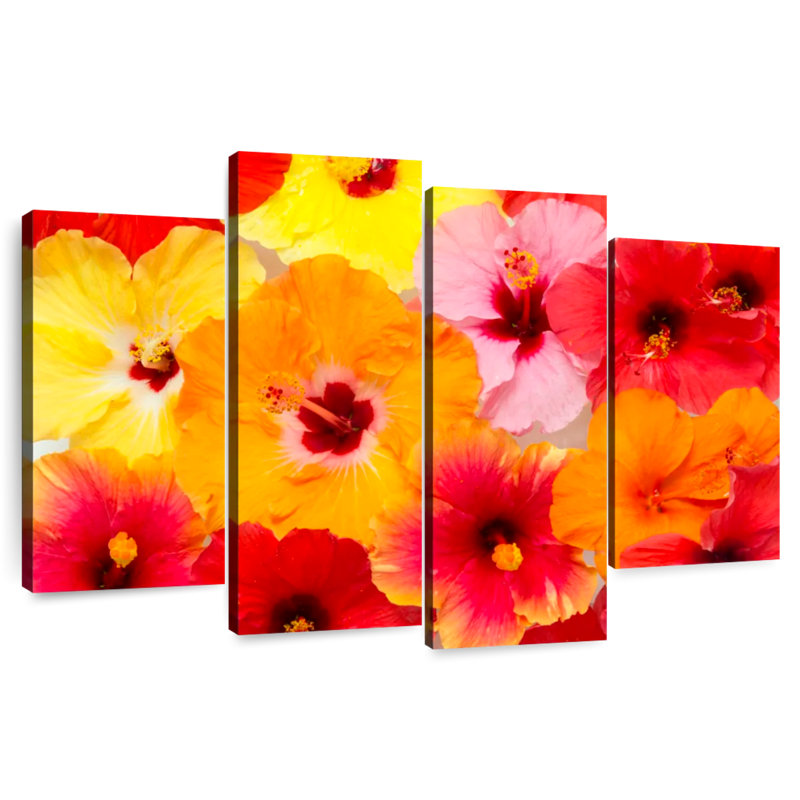 Hibiscus In Summer, 42" H x 68" W