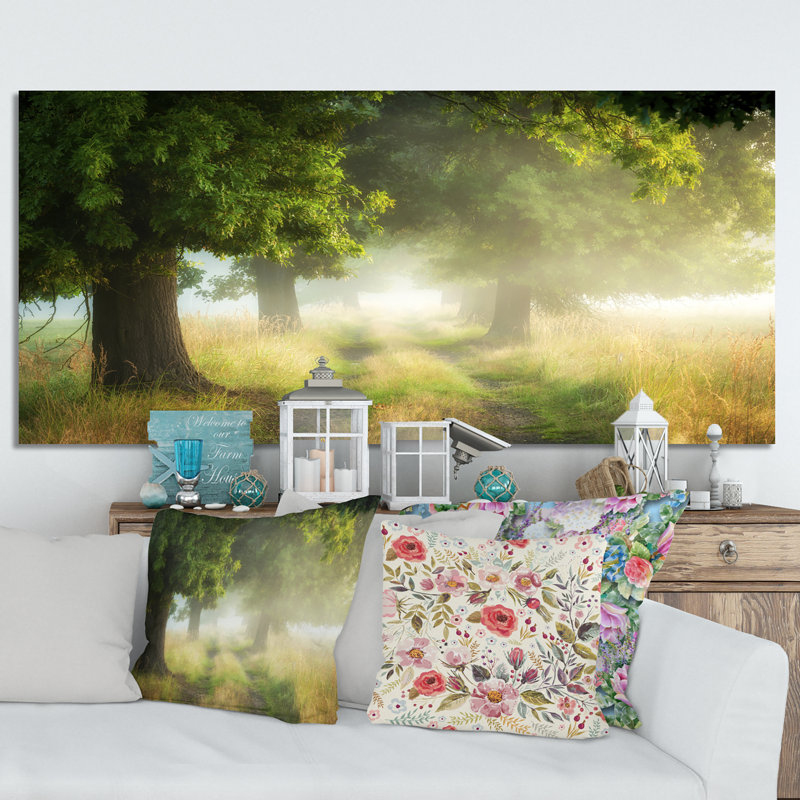 Foggy Morning Old Oaks - photographie sur toile, H 16 po x l 32 po x P 1 po, Toile tendue