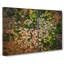 Separating The Forest - Wrapped Canvas-55341261
