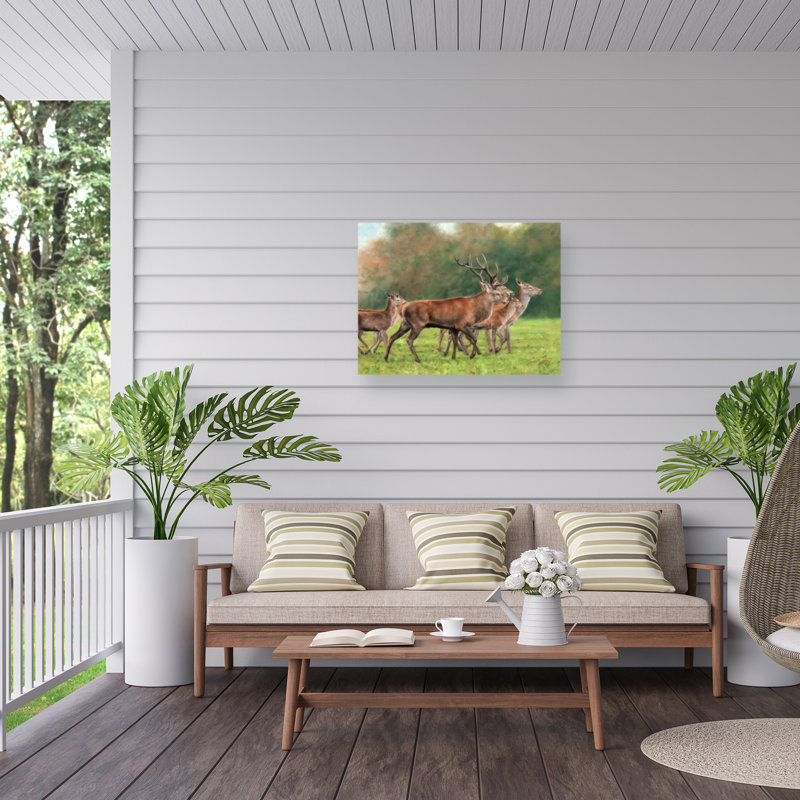 Toile d'extérieur David Stribble Red Deer, H 18 po x l 24 po