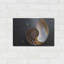 "Coquillage Nautilus" par Elena Ray-1416675435