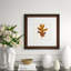 Nature Leaves III Print