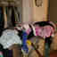 Photos des clients 1 de 1