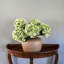 Real Touch Hydrangea Faux Floral-2066171874-2066171878