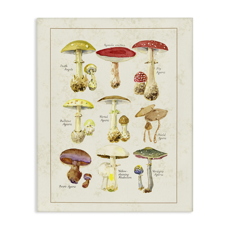 Diverses toiles de champignons, conception de Tina Higgins Designs Inc., H 20 po x l 16 po