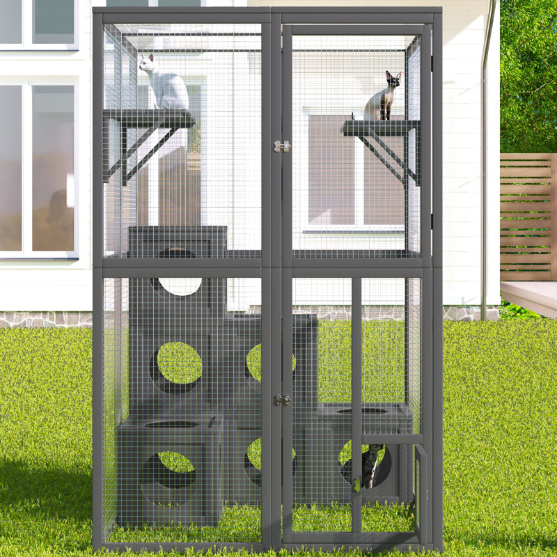 Grey Pine Wood - Create A Fun Play Area For Cats Cat Playground Offer Endless Entertainment