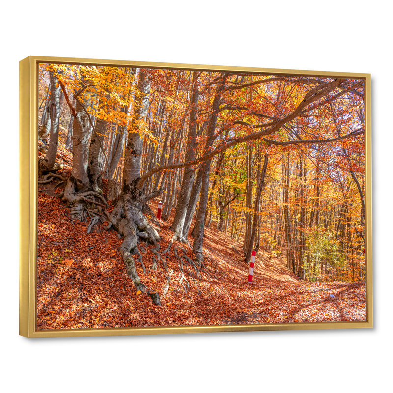 Forêt d'automne, reproduction d'art sur toile traditionnelle, H 12 po x l 20 po x P 1 po, Cadre flottant doré