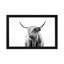 Bairdstown Portrait Of A Highland Cow by Dorit Fuhg - Print on Canvas-101431530-56675865