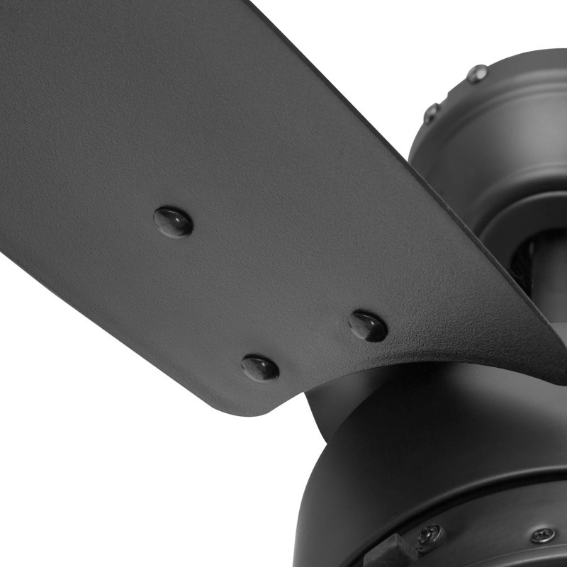Talib 56'' Indoor/Outdoor Ceiling Fan, Matte Black