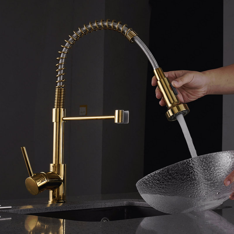 Robinet d'évier de cuisine à poignée simple avec douchette extractible