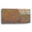  «Desert Patterns 2» par Alicia Ludwig, art mural en verre acrylique, 24 po x 12 po-1872518024