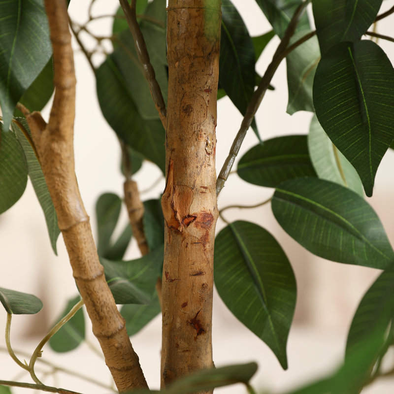 Adcock Artificial Ficus Tree in Pot with Realistic Leaves and Natural Trunk, 82" H x 20" W x 20"D
