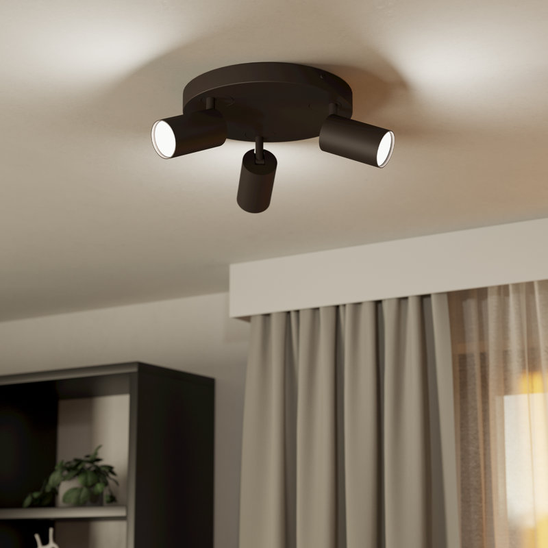 Berenices Spotlight, Matte Black