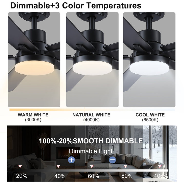 Modern 52" Ceiling Fan with Light and 5 Blades