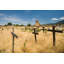 Taos Pueblo, Nouveau-Mexique