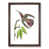 Walnut Framed selected