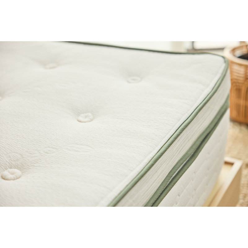  Matelas vert, Très grand californien