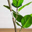 7 pi. Arbre courbé artificiel Audrey Ficus