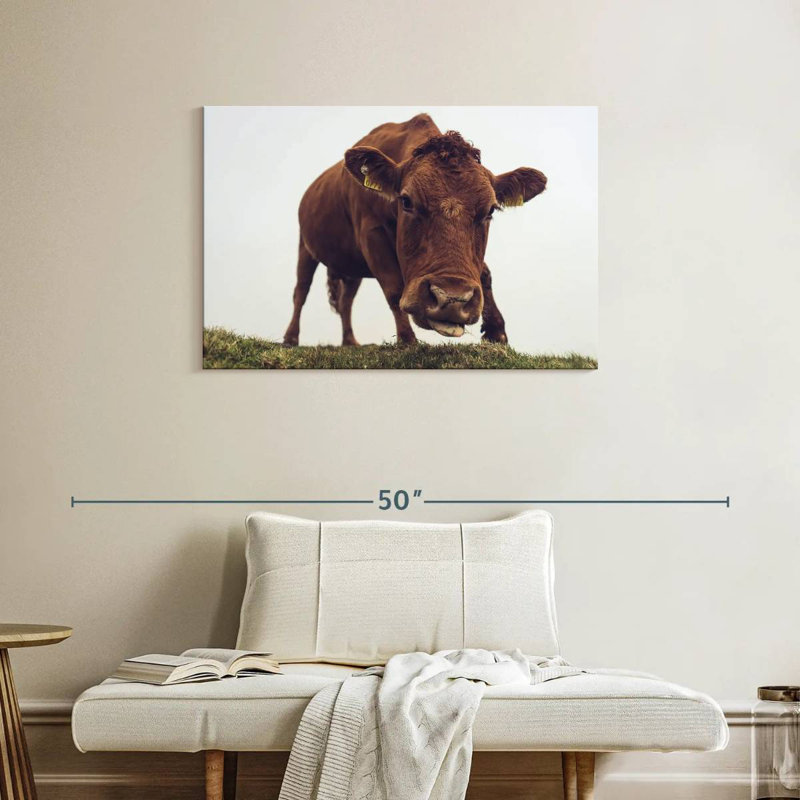Chocolate Cow Face, 24" H x 36" W
