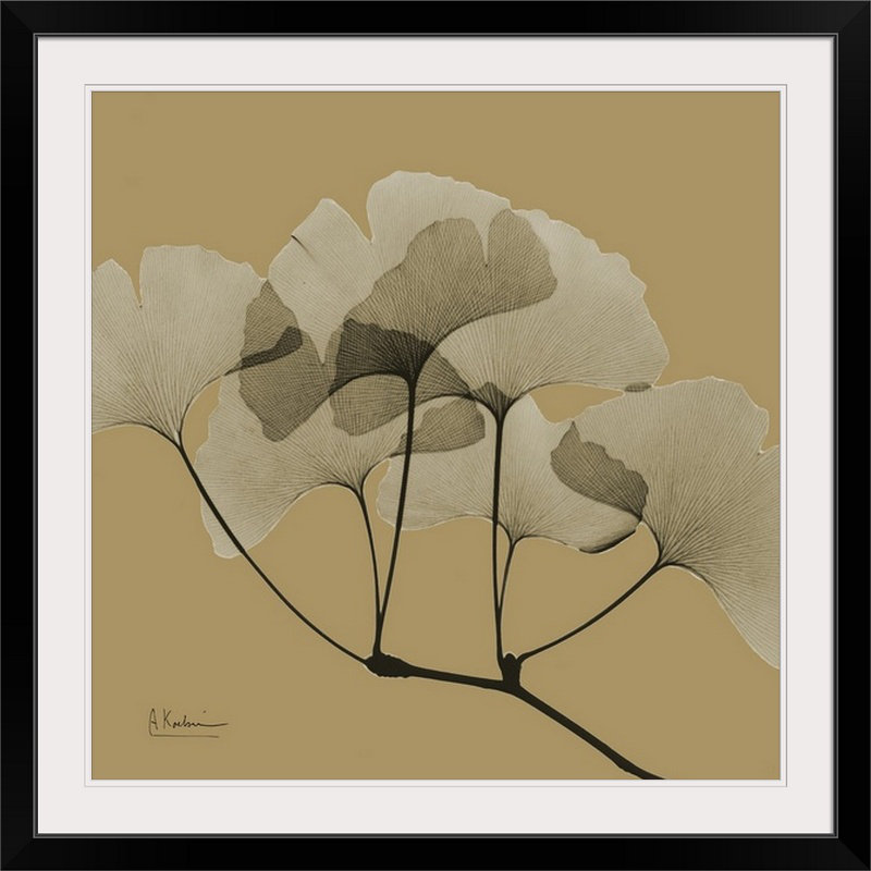 Manigault 'Gingko by Kiranjit Photographic Print, 20" H x 20" W x 1" D, Black Frame