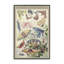 Giclée encadrée par Butterfly-1208305157-1208305159