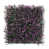 Purple Milan is out of stock