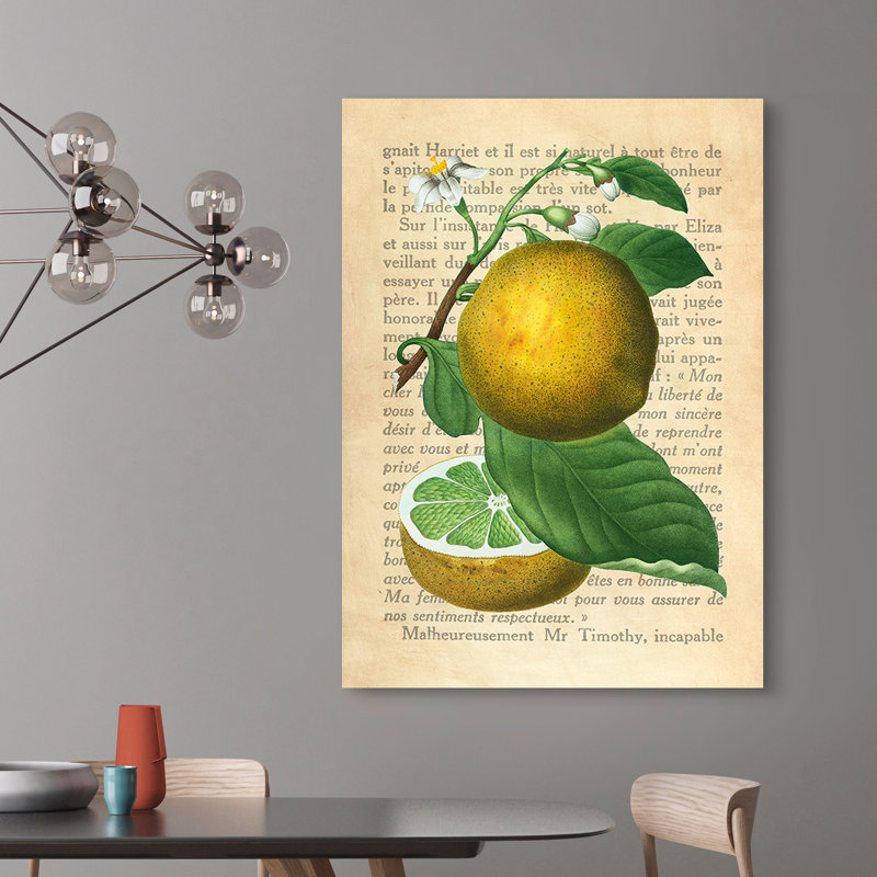 Grapefruit, After Redouté by Remy Dellal - Wrapped Canvas Art Prints, 80cm H x 60cm W x 4cm D