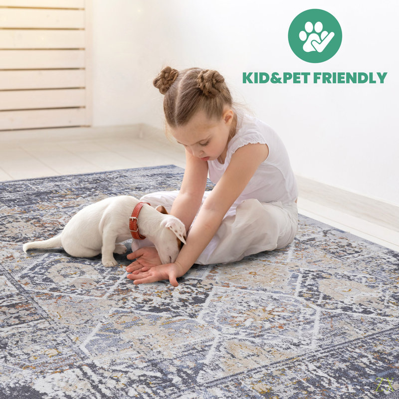 Collection 5X7 /Traditional Non-Shedding Living Room Bedroom Dining Home Office Stylish And Stain Resistant Area Rug