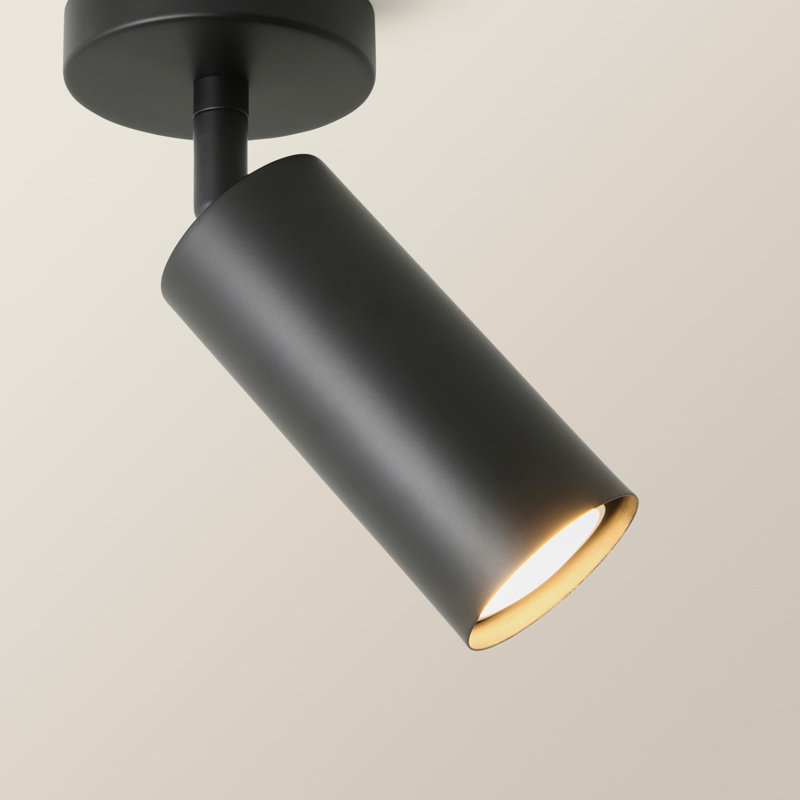 Taylor  Tube Single Adjustable Ceiling Spotlight, 1, Black