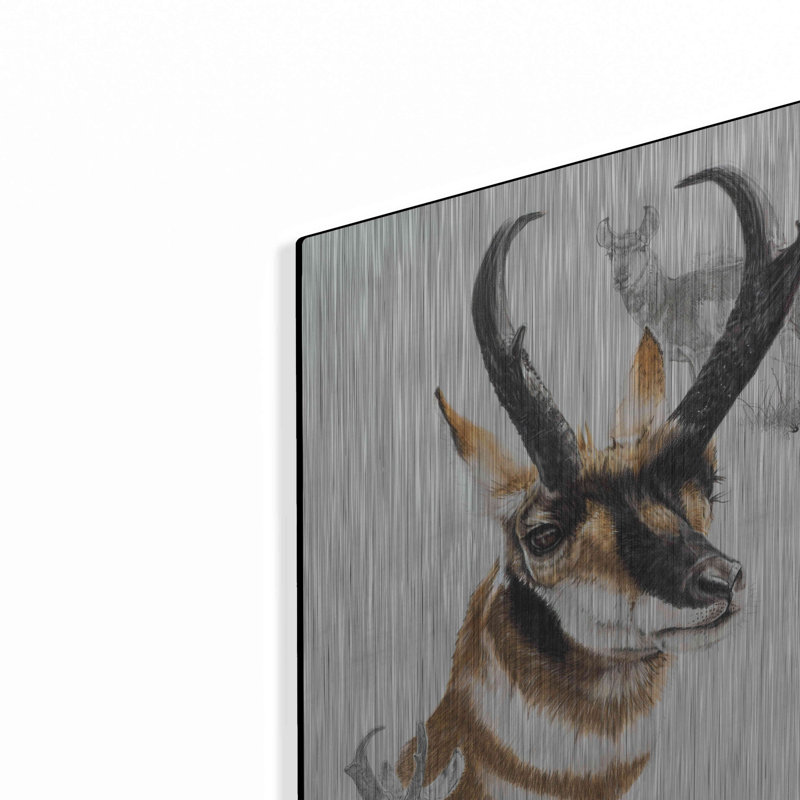 "Pronghorn" par Barbara Keith, H 16 po x l 12 po