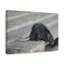 Rat, chasse, rat, chasse, art mural