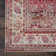 Lowndes Oriental Indoor Rug