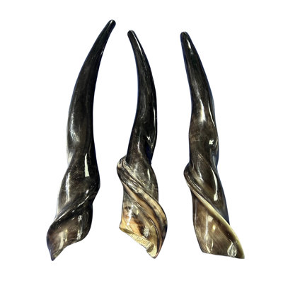 Fully Polished Eland Shofar