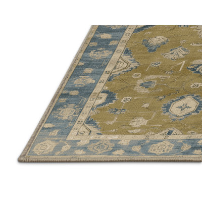 Machine Washable Overdyed Brown Area Rug