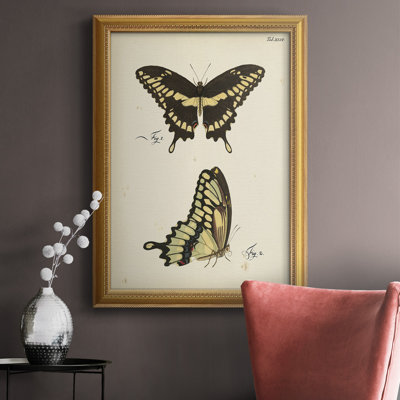 «Butterfly Profile I Butterfly Profile I», reproduction sur toile de qualité supérieure, prête à être accrochée