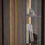 196 cm H x 94 cm W Bookcase