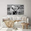 «Highland Cow Staring Contest» par Nathan Larson, reproduction sur toile-85911825